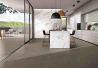 Anti Slip Living Room Cement Look Porcelain Tile Kitchen Concrete Look Floor Tile